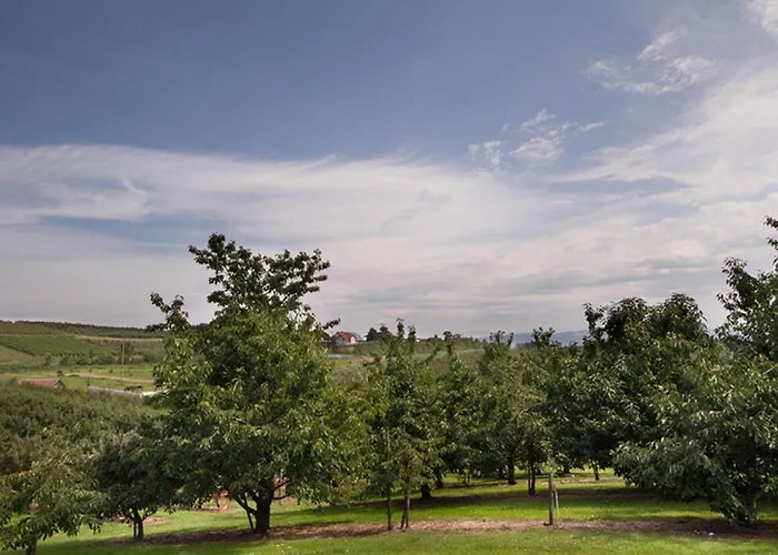 Hiemers Kressbronn am Bodensee